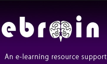ebrain - Portfolio